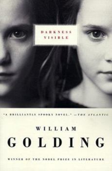 Paperback Darkness Visible Book
