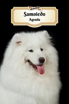 2020 Samoiedo Agenda: 107 Pagine - Dimensioni DIN A5 - Pianificatore Settimanale - 12 Mesi - Due Pagine Per Settimana - Calendario - Diario - Cane