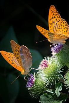 Paperback Silver Bordered Fritillaries: The Silver-Bordered Fritillary Gets Its Name from Its Very Distinctive Light-Colored Border. Book