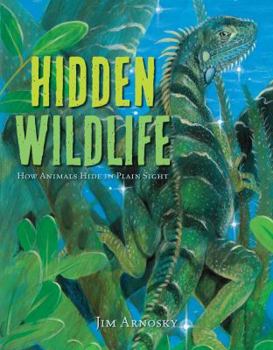 Hardcover Hidden Wildlife: How Animals Hide in Plain Sight Book