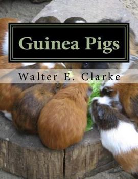 Guinea Pigs: A Practical Treatise on their Breeding, Feeding and Management of Cavies