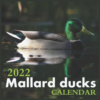 Mallard ducks Calendar 2022: Official Ducks Calendar 2022,12 Months Calendar, Wild Animals, Square Calendar 2022