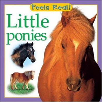Board book Little Ponies Book