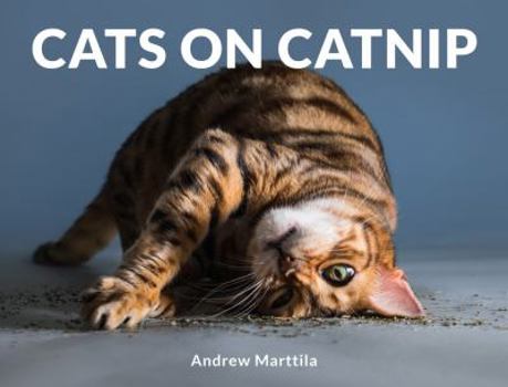 Hardcover Cats on Catnip Book