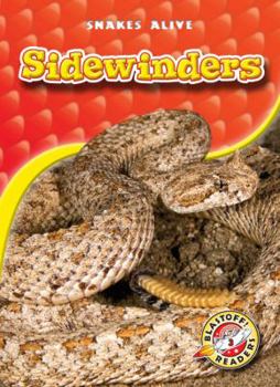 Sidewinders - Book  of the Snakes Alive