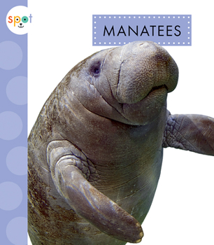 Manatees - Book  of the Life Under the Sea