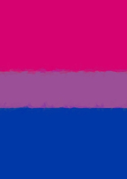 Paperback Bisexual Pride Flag Sketchbook Book