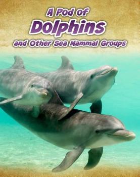 Hardcover A Pod of Dolphins: And Other Sea Mammal Groups Book