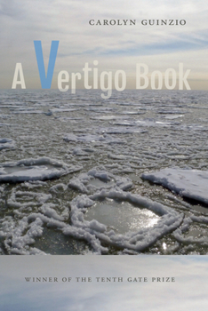 Hardcover A Vertigo Book