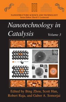 Paperback Nanotechnology in Catalysis 3 Book