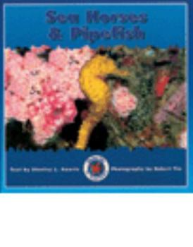 Paperback Sea Horses & Pipefish Book