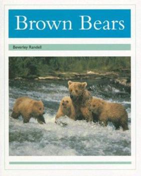 Paperback Brown Bears: Individual Student Edition Turquoise (Levels 17-18) Book