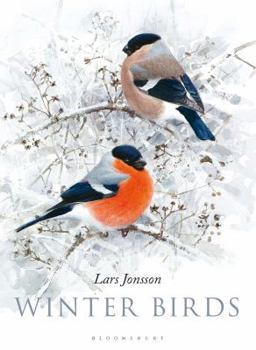 Hardcover Winter Birds Book