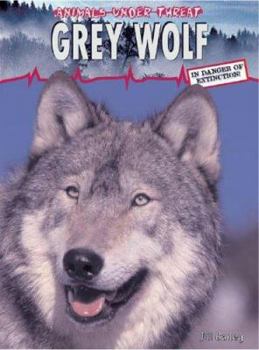 Hardcover Grey Wolf Book