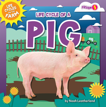 Paperback Life Cycle of a Pig Book