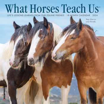 Calendar What Horses Teach Us 2024 7 X 7 Mini Wall Calendar Book