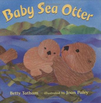 Hardcover Baby Sea Otter Book