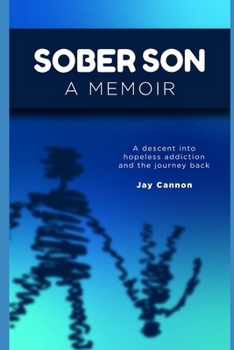 Paperback Sober Son: A Descent Into Hopeless Addiction and the Journey Back Book
