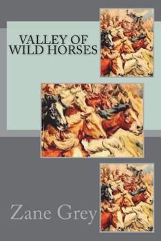 Paperback Valley of Wild Horses Book