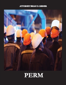 Paperback Perm: Electronic Labor Certifications for Employment Petitions Book