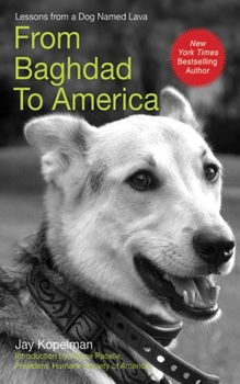 Hardcover From Baghdad to America: Life Lessons from a Dog Named Lava Book
