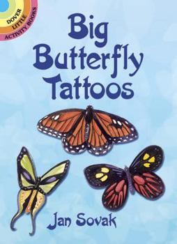 Paperback Big Butterfly Tattoos Book