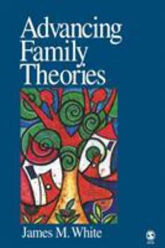 Paperback Advancing Family Theories Book