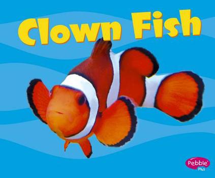 Paperback Clown Fish Book