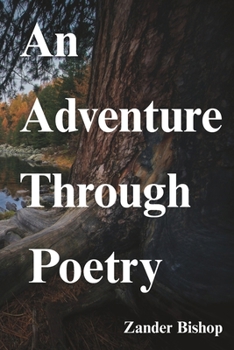 An Adventure Through Poetry