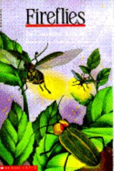 Paperback Fireflies Book
