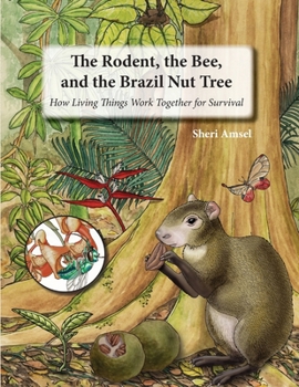 Paperback The Rodent, the Bee, and the Brazil Nut Tree: How Living Things Work Together for Survival Book