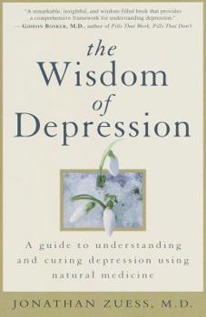 Paperback The Wisdom of Depression: A Guide to Understanding and Curing Depression Using Natural Medicine Book
