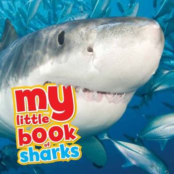 Hardcover My Little Book of... Sharks Book
