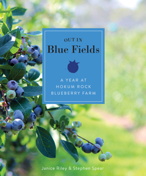 Hardcover Out in Blue Fields: A Year at Hokum Rock Blueberry Farm Book