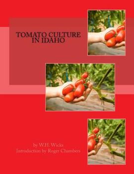 Paperback Tomato Culture in Idaho Book