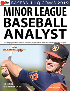 Paperback 2019 Minor League Baseball Analyst Book