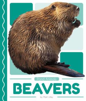 Library Binding Beavers Book