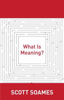 Paperback What Is Meaning? Book