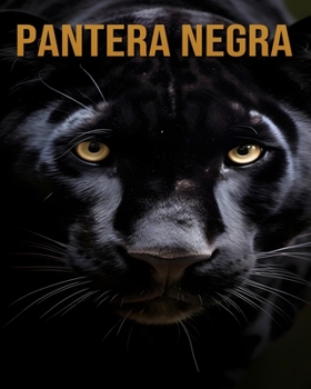 Pantera negra: (Descubre a estos animales)