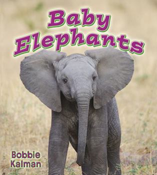 Hardcover Baby Elephants Book