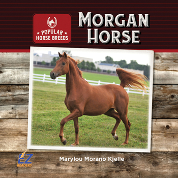 Hardcover Morgan Horse Book