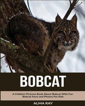 Paperback Bobcat: A Children Pictures Book About Bobcat With Fun Bobcat Facts and Photos For Kids Book