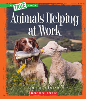 Hardcover Animals Helping at Work (a True Book: Animal Helpers) (Library Edition) Book