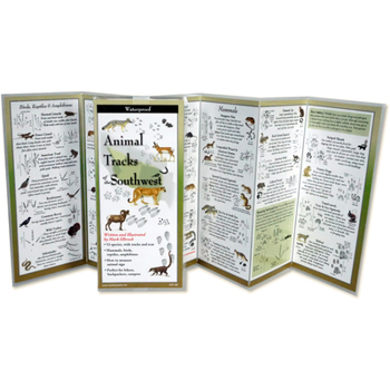 Pamphlet Animal Tracks of the Southwest Book