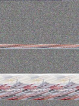 Paperback Flies Book