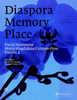David Hammons, Maria Magdalena Campos-Pons, Pamela Z.: Three Artists, Three Projects, Dakar Biennale. Diaspora, Memory, Place