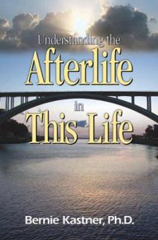 Hardcover Understanding the Afterlife in This Life Book