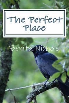 Paperback The Perfect Place Book