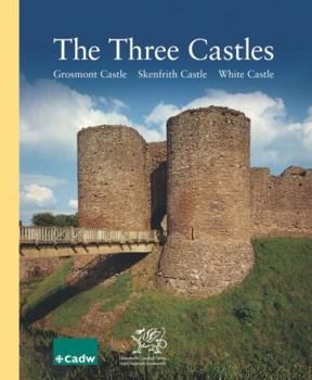 Three Castles: White Castle, Grosmont Castle, Skenfrith Castle (CADW Guidebooks) - Book  of the CADW Guidebooks