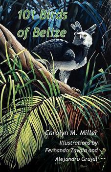 Paperback 101 Birds of Belize Book